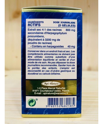 Harpagophytum 1600 mg - API NATURE