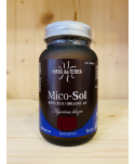 MICO-SOL HIFAS DA TERRA - 70 Gélules