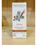 OLIVIER BOURGEONS HERBIOLYS - 50 ML