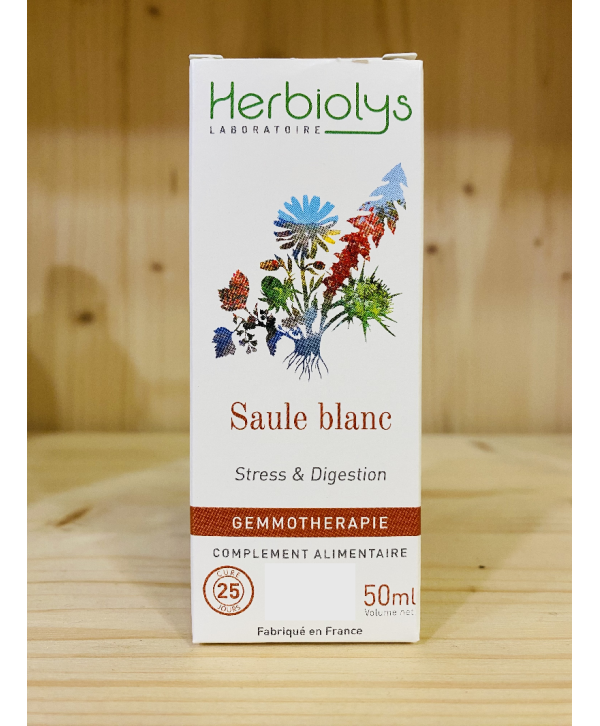 SAULE BLANC BOURGEONS HERBIOLYS - 50 ML