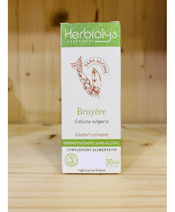 Bruyère Calluna vulgaris -HERBIOLYS-