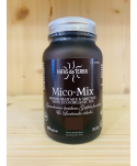 MICO-MIX HIFAS DA TERRA - 70 Gélules