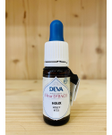 ÉLIXIR FLORAL N°15 HOUX ~ HOLLY DEVA - 10 ML