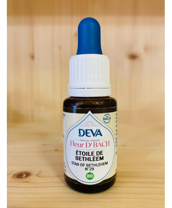 ÉLIXIR FLORAL N°29 ÉTOILE DE BETHLÉEM ~ STAR OF BETHLEHEM DEVA - 15 ML